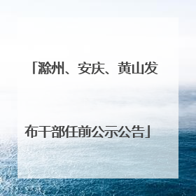 滁州、安庆、黄山发布干部任前公示公告