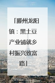 滕州龙阳镇：黑土豆产业铺就乡村振兴致富路