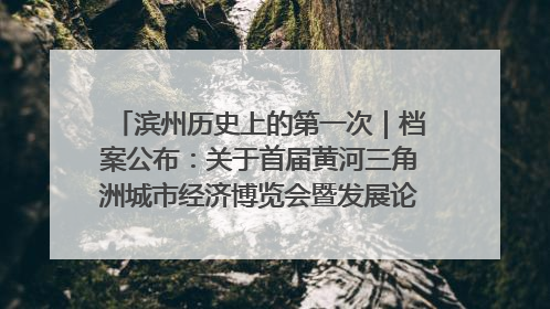 滨州历史上的第一次｜档案公布：关于首届黄河三角洲城市经济博览会暨发展论坛情况的总结报告