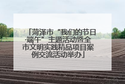 菏泽市“我们的节日·端午”主题活动暨全市文明实践精品项目案例交流活动举办
