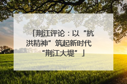 荆江评论：以“抗洪精神”筑起新时代“荆江大堤”