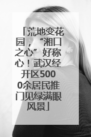 荒地变花园，“湘口之心”好称心！武汉经开区5000余居民推门见绿满眼风景