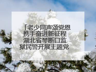 老少同声颂党恩 携手奋进新征程 湖北省琴断口监狱民警开展主题党日活动