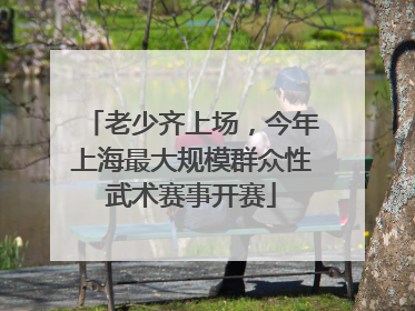 老少齐上场，今年上海最大规模群众性武术赛事开赛