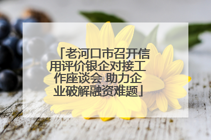 老河口市召开信用评价银企对接工作座谈会 助力企业破解融资难题