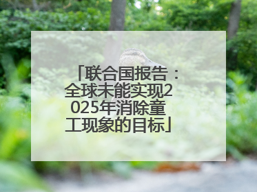 联合国报告：全球未能实现2025年消除童工现象的目标