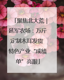 聚焦北大荒｜延军农场：万斤定制木耳发货 特色产业“成绩单”亮眼
