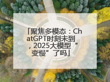 聚焦多模态：ChatGPT时刻未到，2025大模型“变慢”了吗
