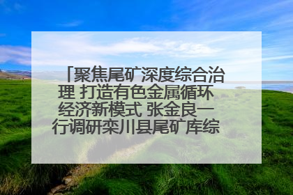 聚焦尾矿深度综合治理 打造有色金属循环经济新模式 张金良一行调研栾川县尾矿库综合治理工作
