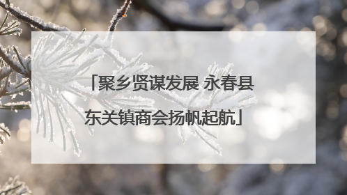 聚乡贤谋发展 永春县东关镇商会扬帆起航