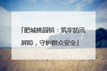 肥城桃园镇：筑牢防汛屏障，守护群众安全