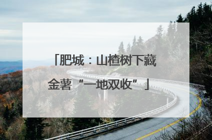 肥城：山楂树下藏金薯“一地双收”