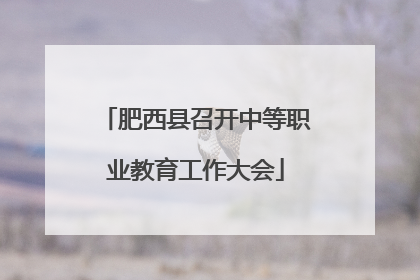 肥西县召开中等职业教育工作大会