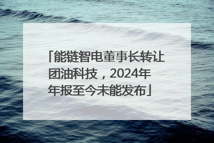 能链智电董事长转让团油科技，2024年年报至今未能发布