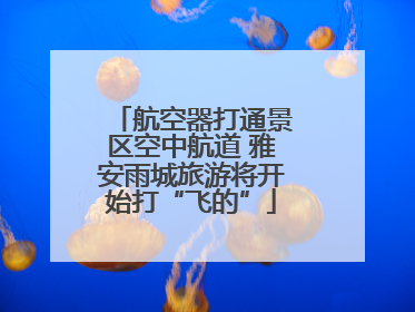 航空器打通景区空中航道 雅安雨城旅游将开始打“飞的”