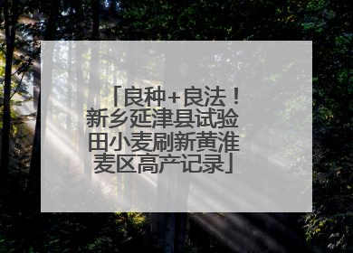 良种+良法！新乡延津县试验田小麦刷新黄淮麦区高产记录