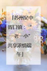 苏州吴中胥口镇：“一老一小”共享浓情端午