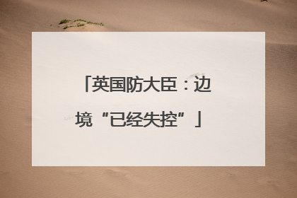 英国防大臣：边境“已经失控”