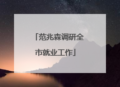 范兆森调研全市就业工作