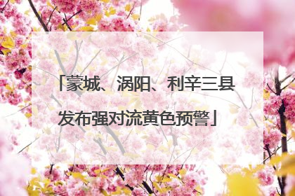 蒙城、涡阳、利辛三县发布强对流黄色预警