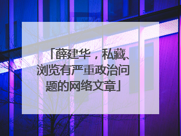 薛建华，私藏、浏览有严重政治问题的网络文章