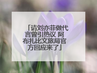 请刘亦菲做代言曾引热议 阿布扎比文旅局官方回应来了