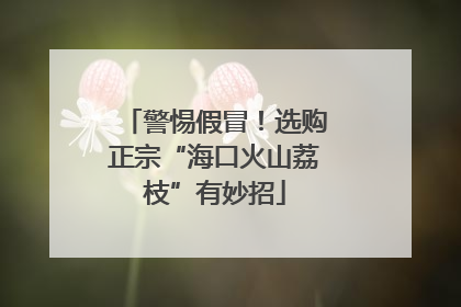 警惕假冒！选购正宗“海口火山荔枝”有妙招