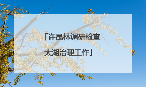 许昆林调研检查太湖治理工作