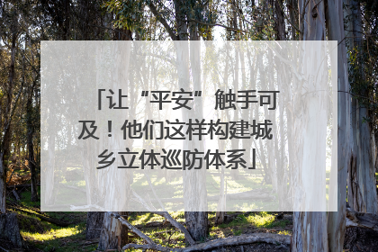 让“平安”触手可及！他们这样构建城乡立体巡防体系
