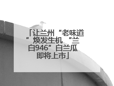 让兰州“老味道”焕发生机 “兰白946”白兰瓜即将上市