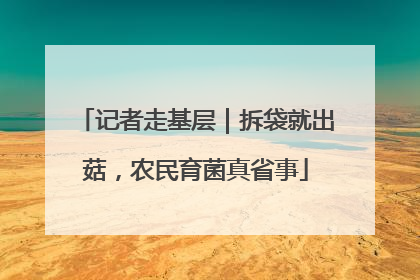 记者走基层｜拆袋就出菇，农民育菌真省事