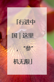 行进中国｜这里，“参”机无限