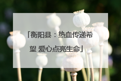 衡阳县：热血传递希望 爱心点亮生命