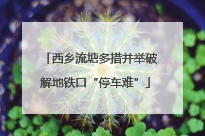 西乡流塘多措并举破解地铁口“停车难”
