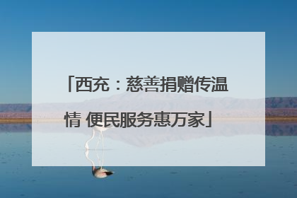 西充：慈善捐赠传温情 便民服务惠万家