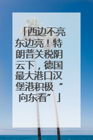 西边不亮东边亮！特朗普关税阴云下，德国最大港口汉堡港积极“向东看”