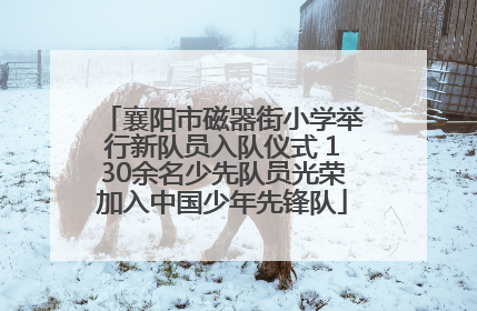 襄阳市磁器街小学举行新队员入队仪式 130余名少先队员光荣加入中国少年先锋队