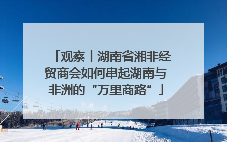 观察丨湖南省湘非经贸商会如何串起湖南与非洲的“万里商路”