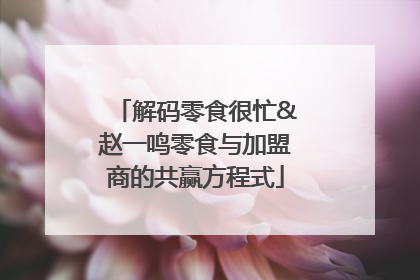 解码零食很忙&赵一鸣零食与加盟商的共赢方程式
