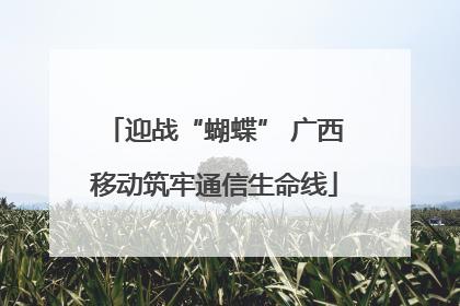 迎战“蝴蝶” 广西移动筑牢通信生命线