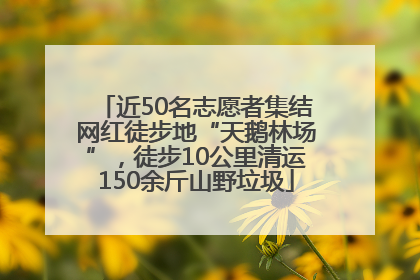 近50名志愿者集结网红徒步地“天鹅林场”，徒步10公里清运150余斤山野垃圾