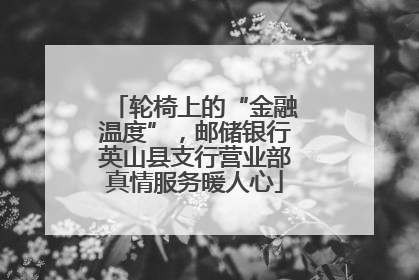 轮椅上的“金融温度”，邮储银行英山县支行营业部真情服务暖人心