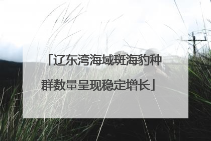 辽东湾海域斑海豹种群数量呈现稳定增长