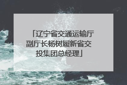 辽宁省交通运输厅副厅长杨树履新省交投集团总经理