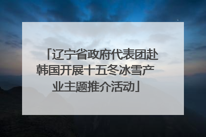 辽宁省政府代表团赴韩国开展十五冬冰雪产业主题推介活动