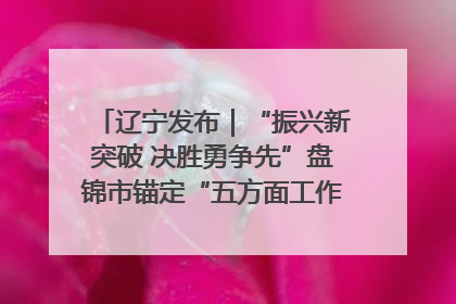 辽宁发布｜“振兴新突破 决胜勇争先”盘锦市锚定“五方面工作”力争全年地区生产总值增长5.5%左右