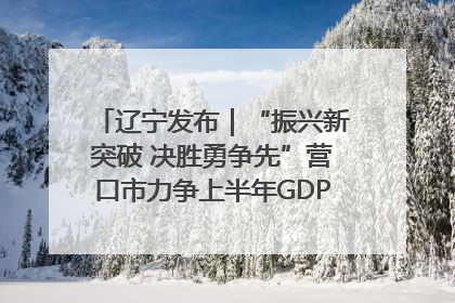 辽宁发布｜“振兴新突破 决胜勇争先”营口市力争上半年GDP增长6%左右