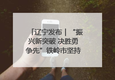 辽宁发布｜“振兴新突破 决胜勇争先”铁岭市坚持“项目为王”推进经济高质量发展