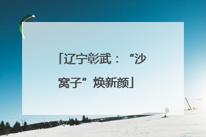 辽宁彰武：“沙窝子”焕新颜
