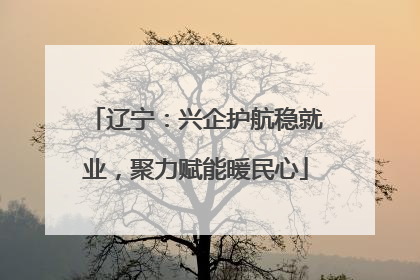辽宁：兴企护航稳就业，聚力赋能暖民心